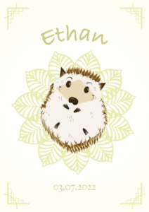 Illustration affiche naissance prénom hérisson