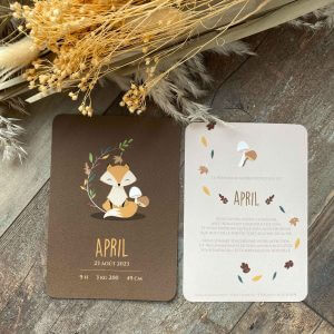 Faire-part naissance Renard