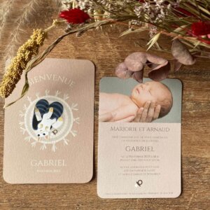 Faire-part naissance chat fille et garçon