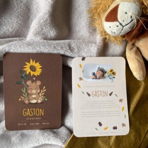 Faire-part ourson naissance bébé fille garçon